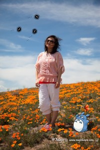 antelope_valley_poppy_reserve_14_majontotoro