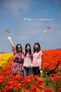 carlsbadflowerfield_020