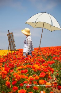 carlsbadflowerfield_021